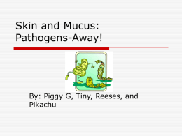Skin and Mucus: Pathogens-Away!