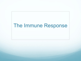 The Immune Response