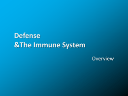 Immune System Overview