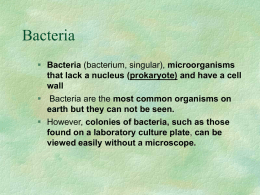 Bacteria, virus, immune