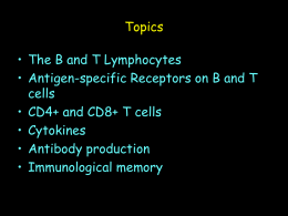 The Lymphocytes Fig 1