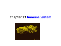 le ch. 23 immunity_from_disease
