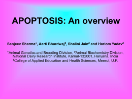 apoptosis - Fort Bend ISD