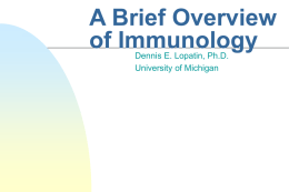 A Brief Overview of Immunology