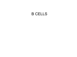 3 pharmacy B cells
