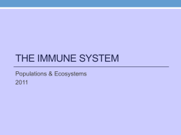 immune system 2010
