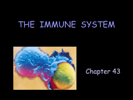 Immunity - BEHS Science