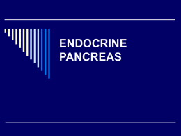 ENDOCRINE PANCREAS