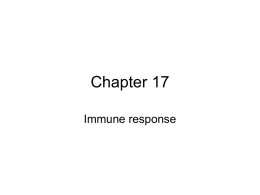 Chapter 17 Immune Response