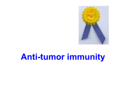 Anti-tumor immunity