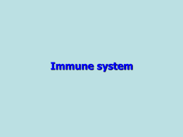 Mucosal immune system