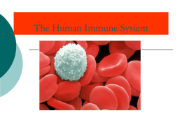 18 Immune system part 1 - Nicole