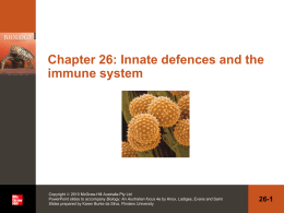 26-17 Dendritic cells - McGraw Hill Higher Education