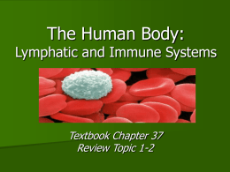 Lymphatic and Immune Systems - Holding