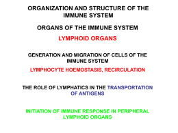 ORGANS OF THE IMMUNE SYSTEM LYMPHOID ORGANS