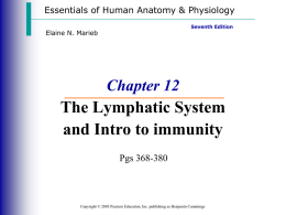 Lymphatic System Notes (1 of 3)