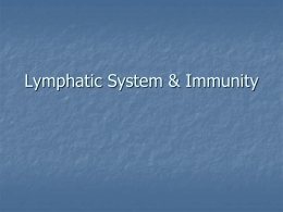lymphatic vessels.