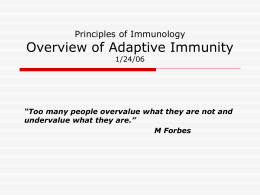 Overview of Adaptive Immunity 01/24/06