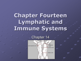 Chapter Fourteen Lymphatic and Immune Systems
