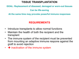 10pathology-transplantation