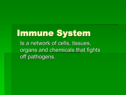 Immune System - WordPress.com