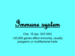 Immune system08