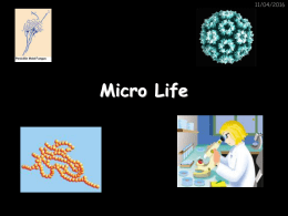 Micro Life Revision Powerpoint