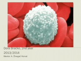 leukocytes - Stari web
