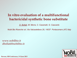 synthetic bone substitute Baveno, SIB Conference, 3