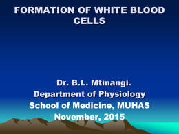 FORMATION OF WHITE BLOOD CELLS