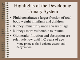 Highlights of the Developing Urinary System