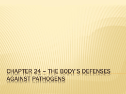 Ch 24 The Body`s Defenses against Pathogens 20112012