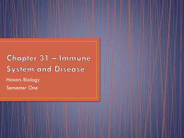 Chapter 31 Immune System and Diseasesx