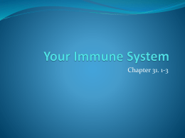 Your Immune System longx