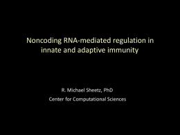 Noncoding RNA-mediated regulation in innate and adaptive immunity