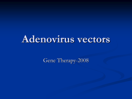Adenovirus vectors