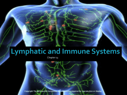 Lymphatic and Immune Systems - hills