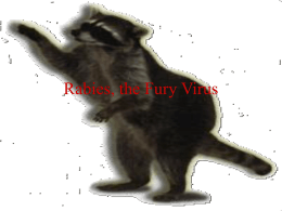 Rabies, the Fury Virus