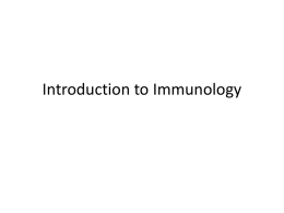 Lecture 16+17, Introduction to Immunology