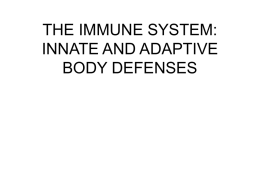 the immune system: innate and adaptive body