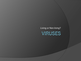 Viruses - WordPress.com