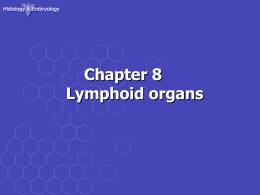 a. T-lymphocytes