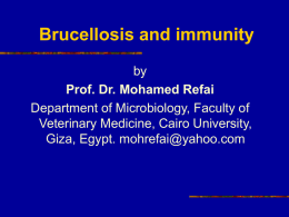brucellosis_and_immunity