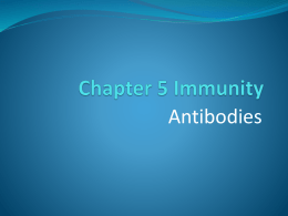 5.5_antibodies