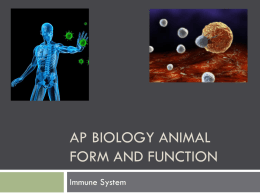 AP Biology Animal Form and function
