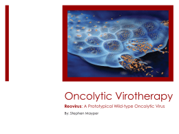 Oncolytic Virotherapy - University of Florida