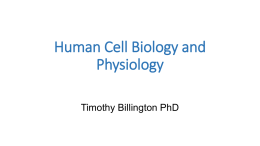 Human cell physiology