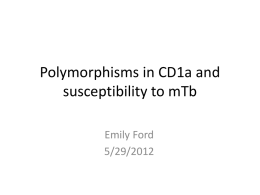 Polymorphisms in CD1a and susceptibility to mTb