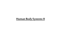 Human Body Systems II - Stevenson High School
