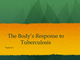Topic 6.4 Tuberculosis Powerpoint File